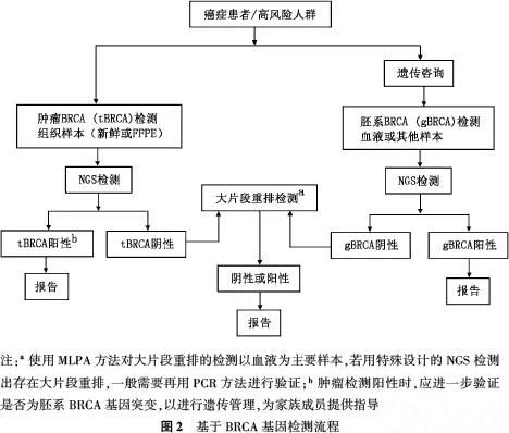 中国专家共识:乳腺癌易感基因的下一代测序技术检测流程标准规范