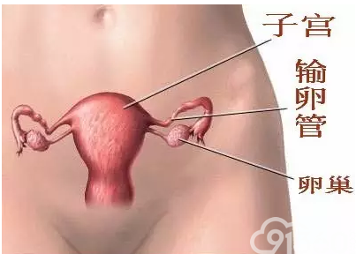 女性最起码要知道的内容