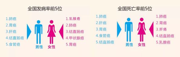 【综述】肿瘤发病机制:从肿瘤微环境到肠道微生物(上)