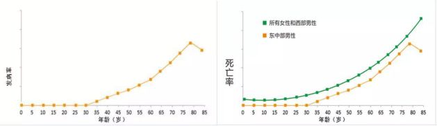 【综述】肿瘤发病机制:从肿瘤微环境到肠道微生物(上)