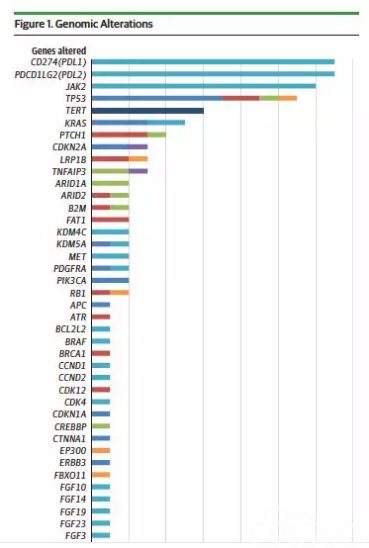 【1773】【JAMA Oncology】PD-L1表达可以预测免疫治疗疗效,PD-L1基因扩增呢?