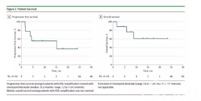 【1773】【JAMA Oncology】PD-L1表达可以预测免疫治疗疗效,PD-L1基因扩增呢?