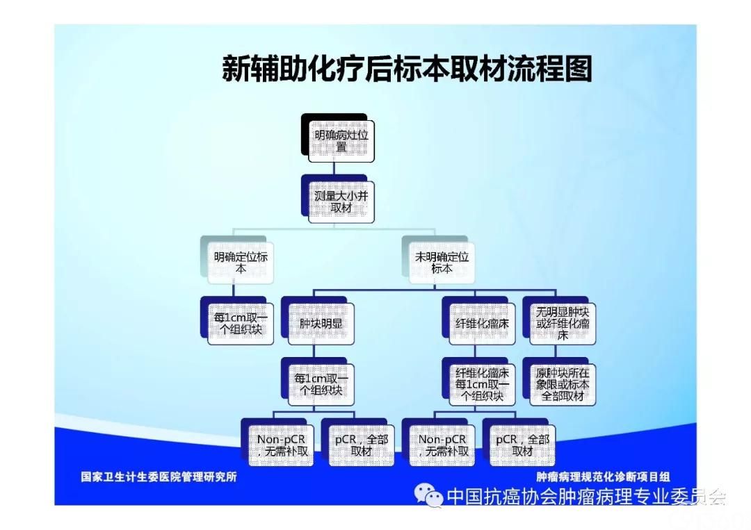 肿瘤病理规范化诊断标准 第5部分:乳腺癌病理诊断标准