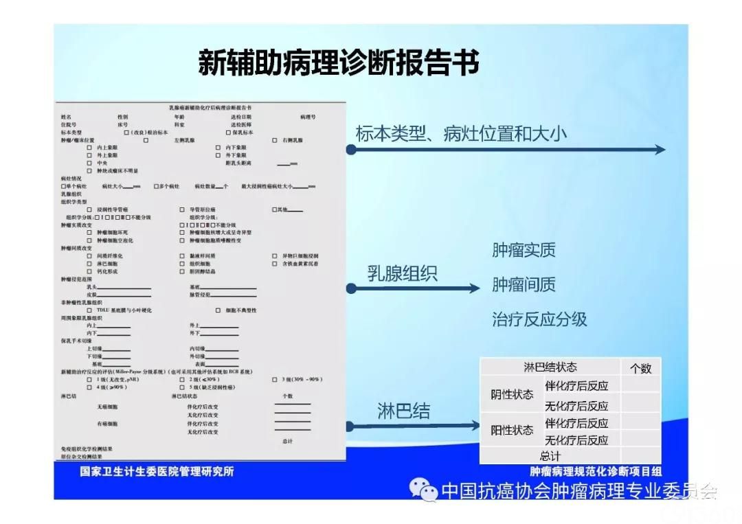 肿瘤病理规范化诊断标准 第5部分:乳腺癌病理诊断标准