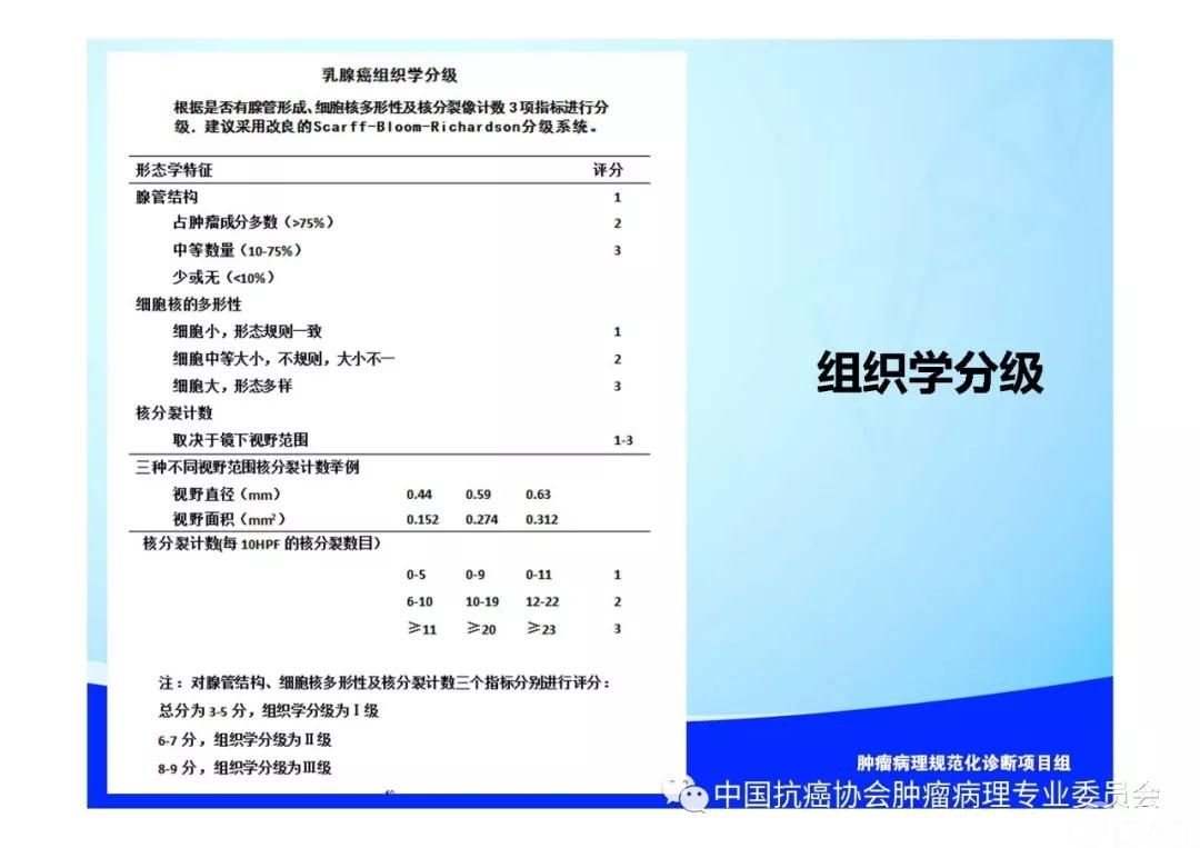 肿瘤病理规范化诊断标准 第5部分:乳腺癌病理诊断标准