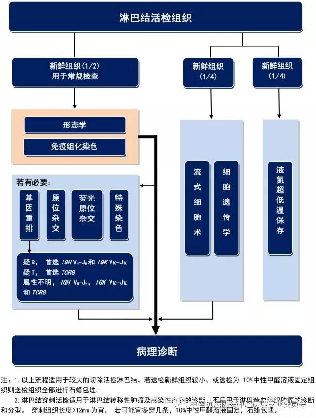 淋巴组织肿瘤的诊断流程推荐