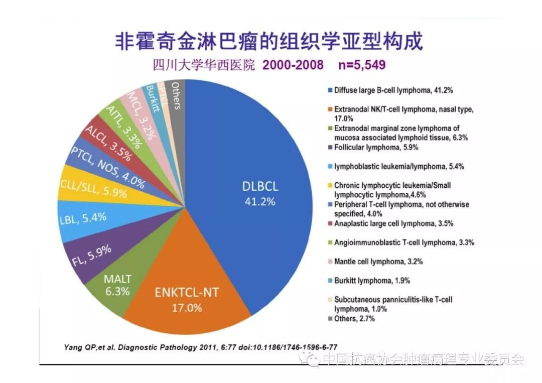 肿瘤病理规范化诊断标准 第2部分:淋巴组织肿瘤病理诊断标准