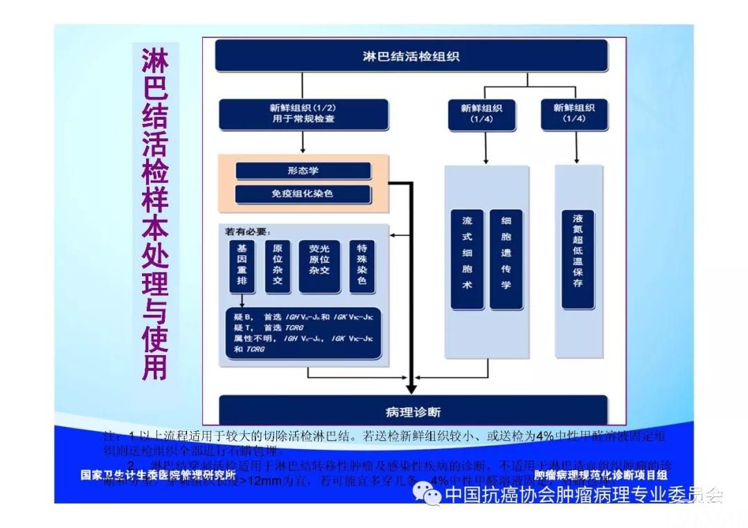 肿瘤病理规范化诊断标准 第2部分:淋巴组织肿瘤病理诊断标准
