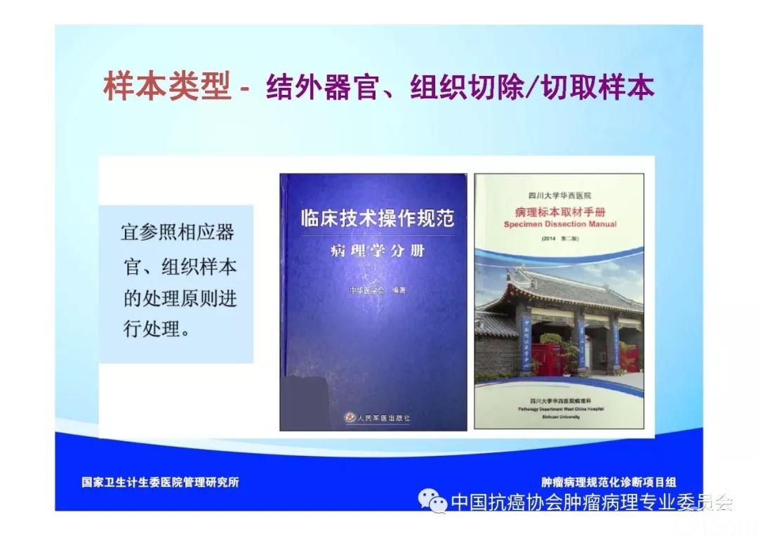 肿瘤病理规范化诊断标准 第2部分:淋巴组织肿瘤病理诊断标准