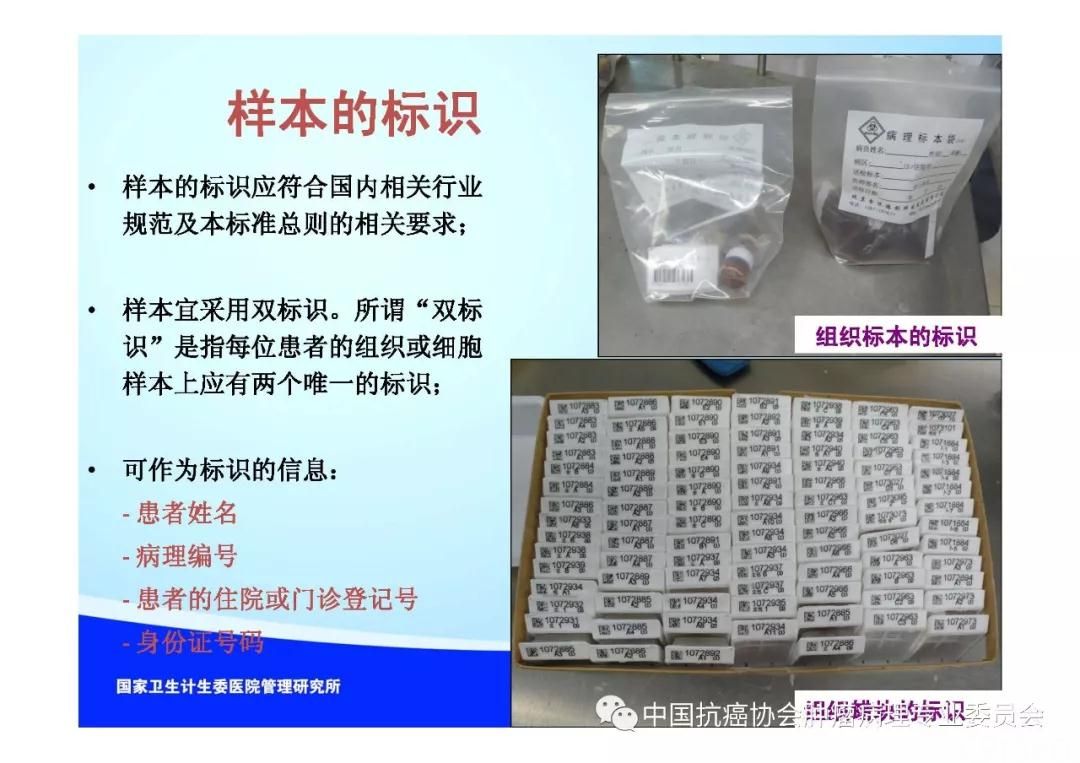 肿瘤病理规范化诊断标准 第2部分:淋巴组织肿瘤病理诊断标准