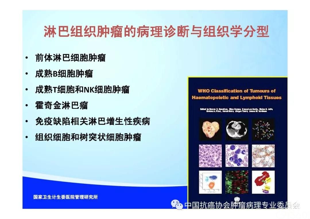 肿瘤病理规范化诊断标准 第2部分:淋巴组织肿瘤病理诊断标准