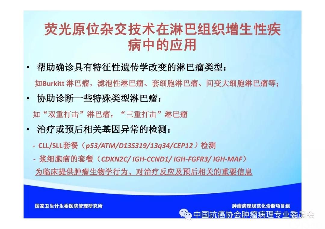 肿瘤病理规范化诊断标准 第2部分:淋巴组织肿瘤病理诊断标准