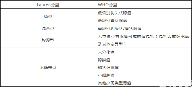 表1 Laurén分型及WHO分型对应表