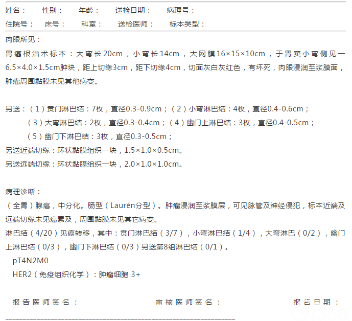 胃癌根治术标本报告格式