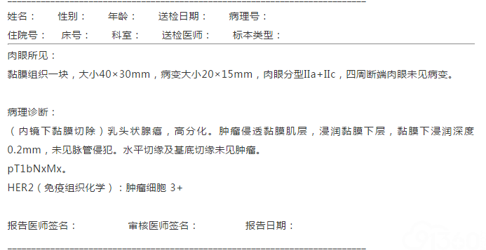 内镜下胃黏膜切除标本