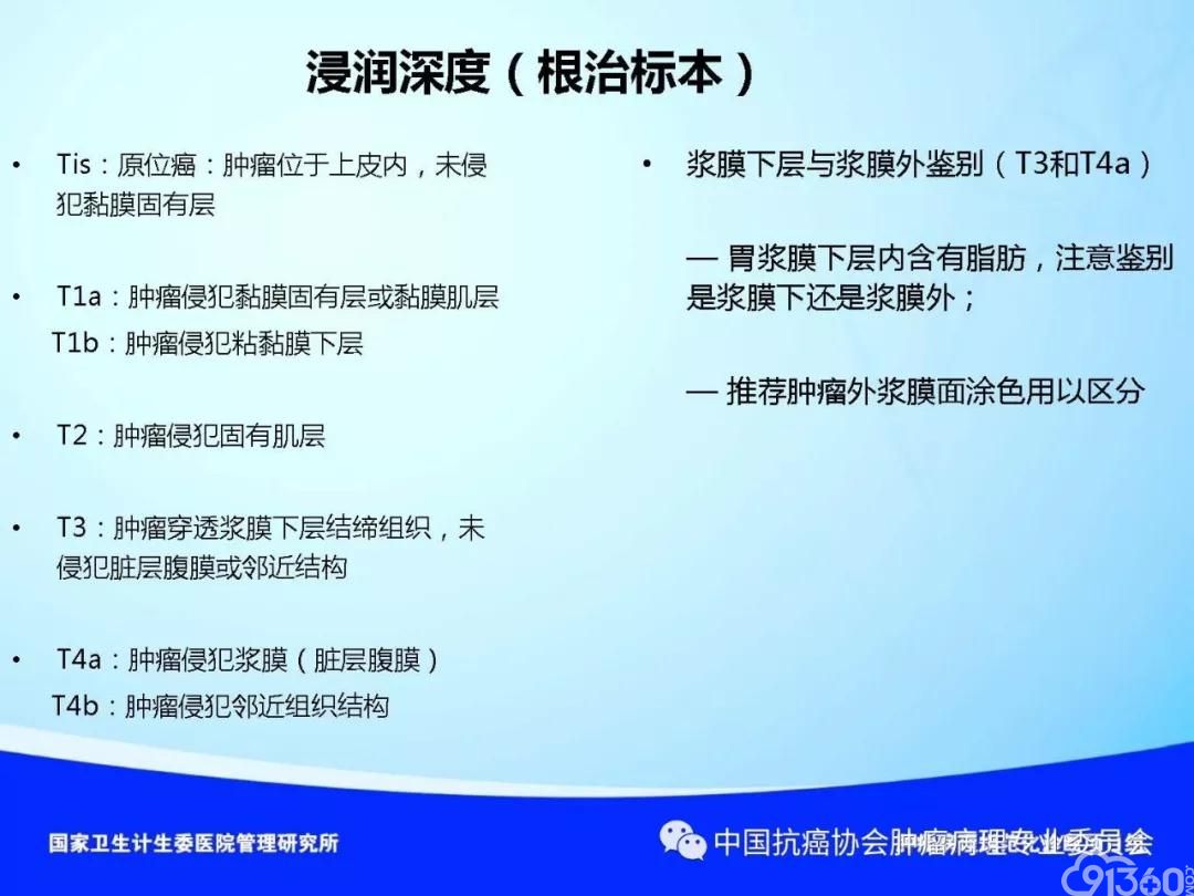 肿瘤病理规范化诊断标准 第4部分:胃癌病理诊断标准
