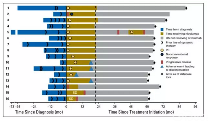 纳武利尤单抗(Nivolumab)使晚期NSCLC长期生存成为可能