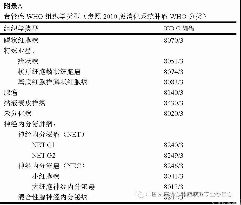 病理报告内容及规范