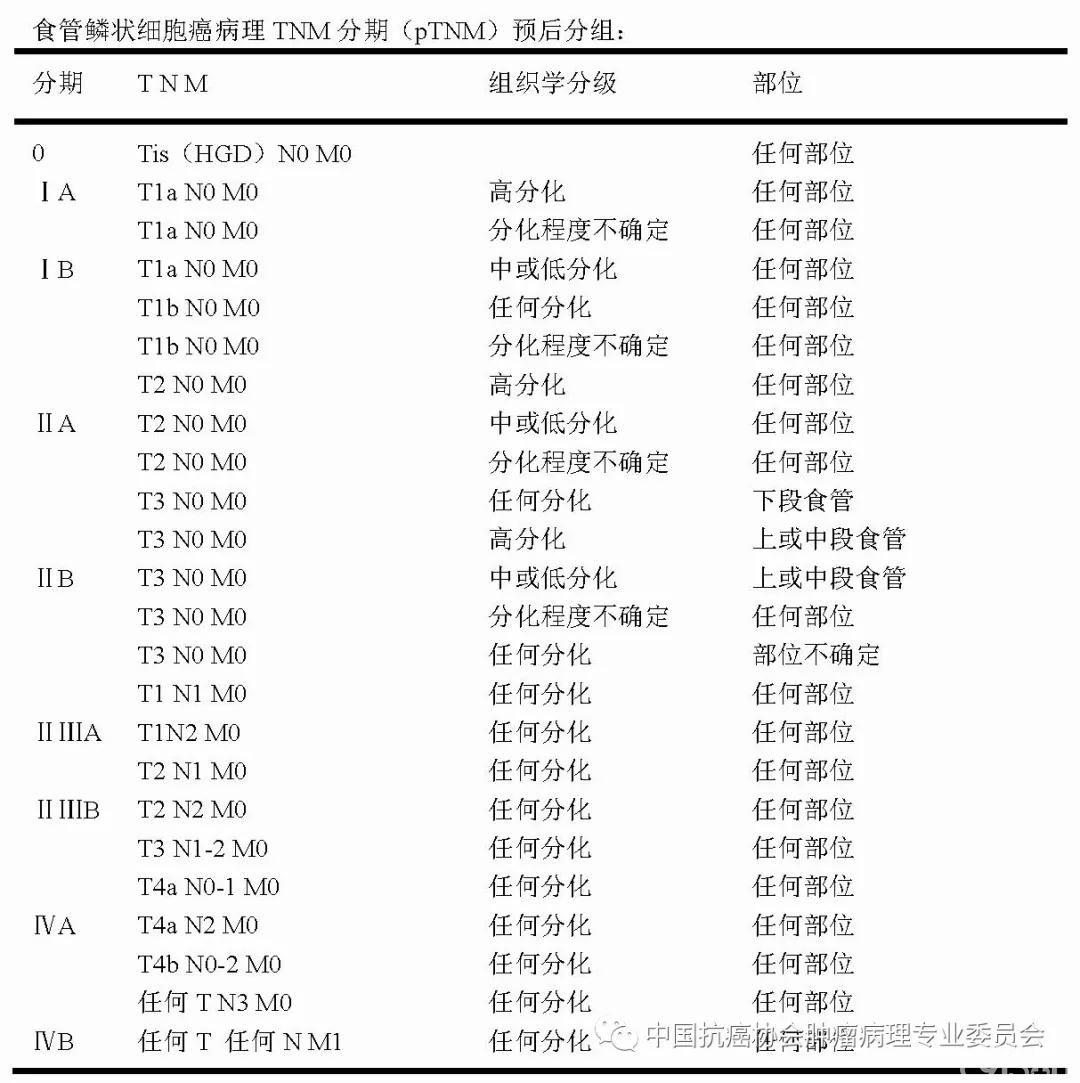 病理报告内容及规范