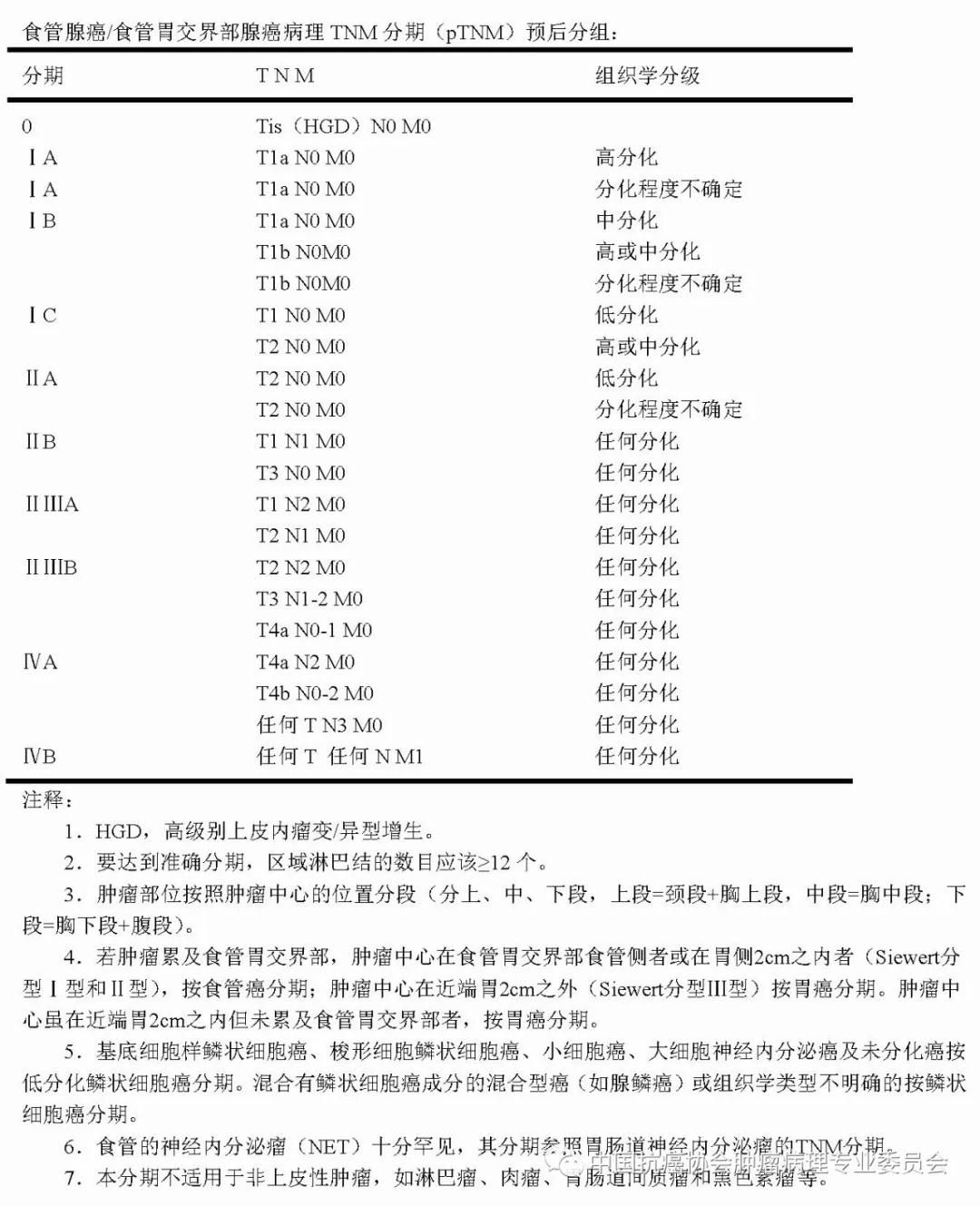 病理报告内容及规范