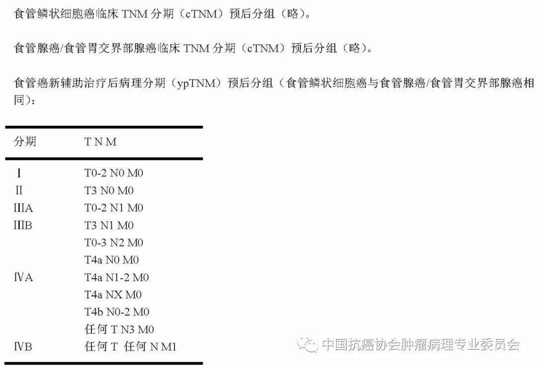病理报告内容及规范