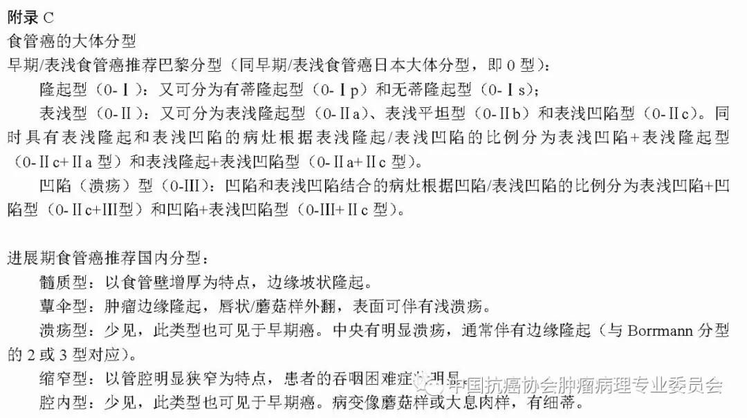 病理报告内容及规范
