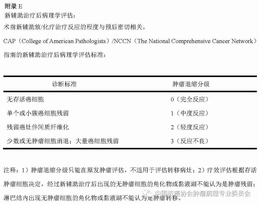 病理报告内容及规范