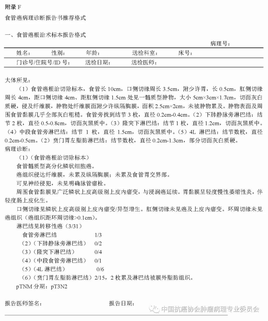 病理报告内容及规范