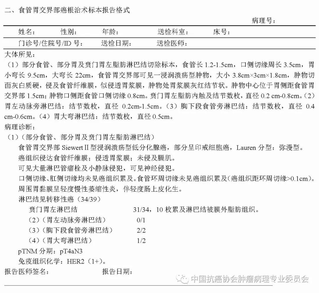 病理报告内容及规范