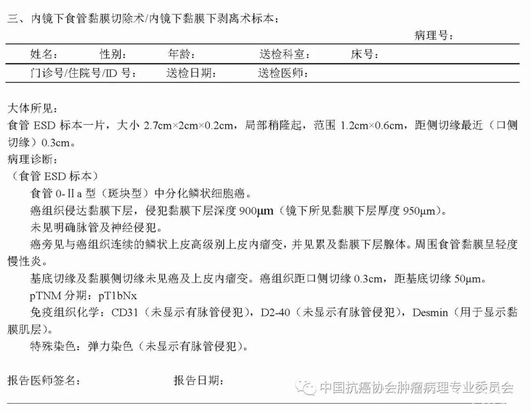 病理报告内容及规范