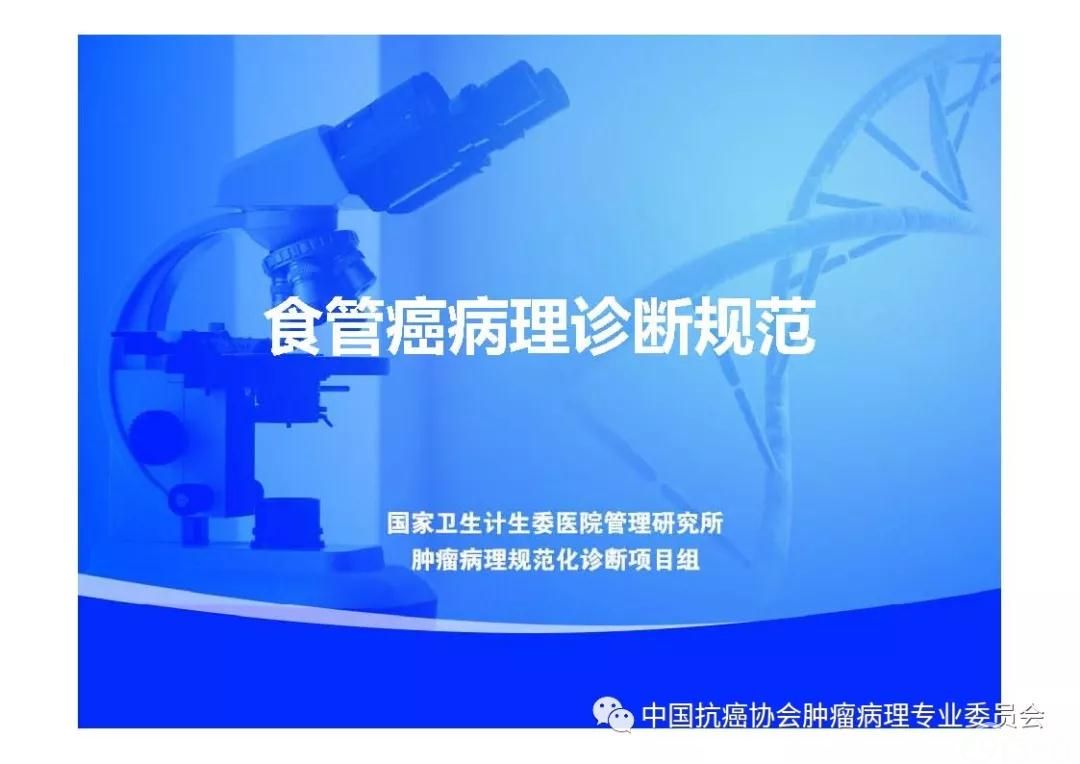 肿瘤病理规范化诊断标准 第7部分:食管癌病理诊断标准
