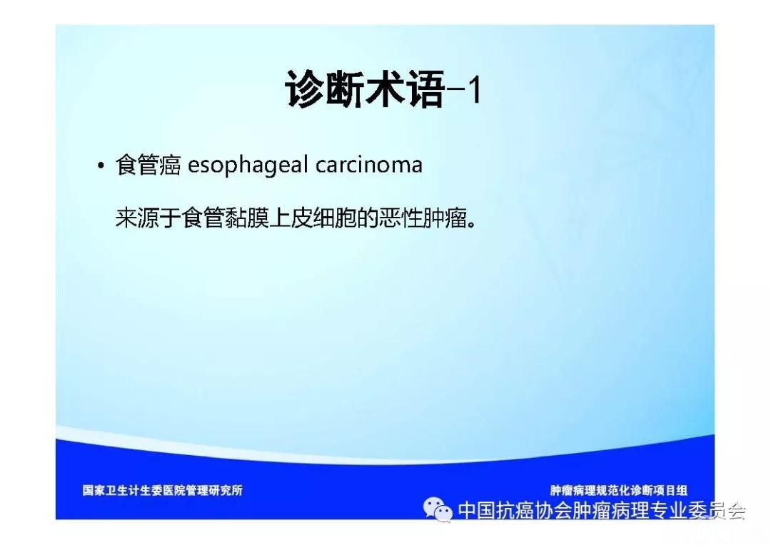 肿瘤病理规范化诊断标准 第7部分:食管癌病理诊断标准
