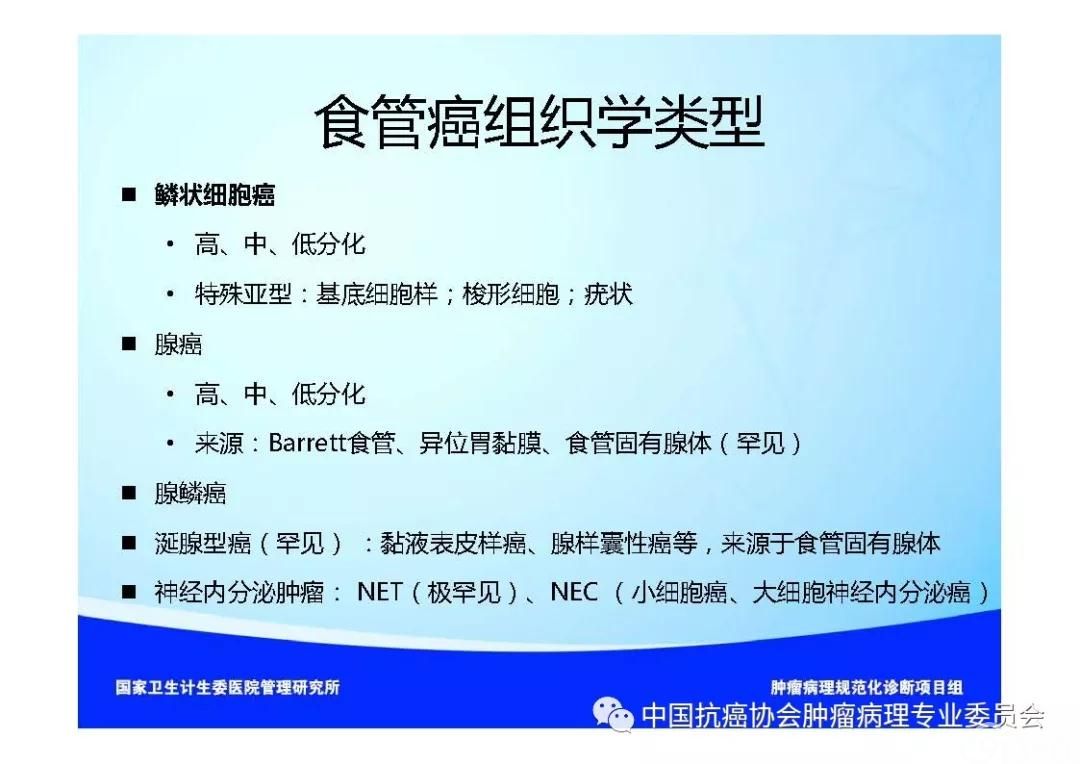 肿瘤病理规范化诊断标准 第7部分:食管癌病理诊断标准