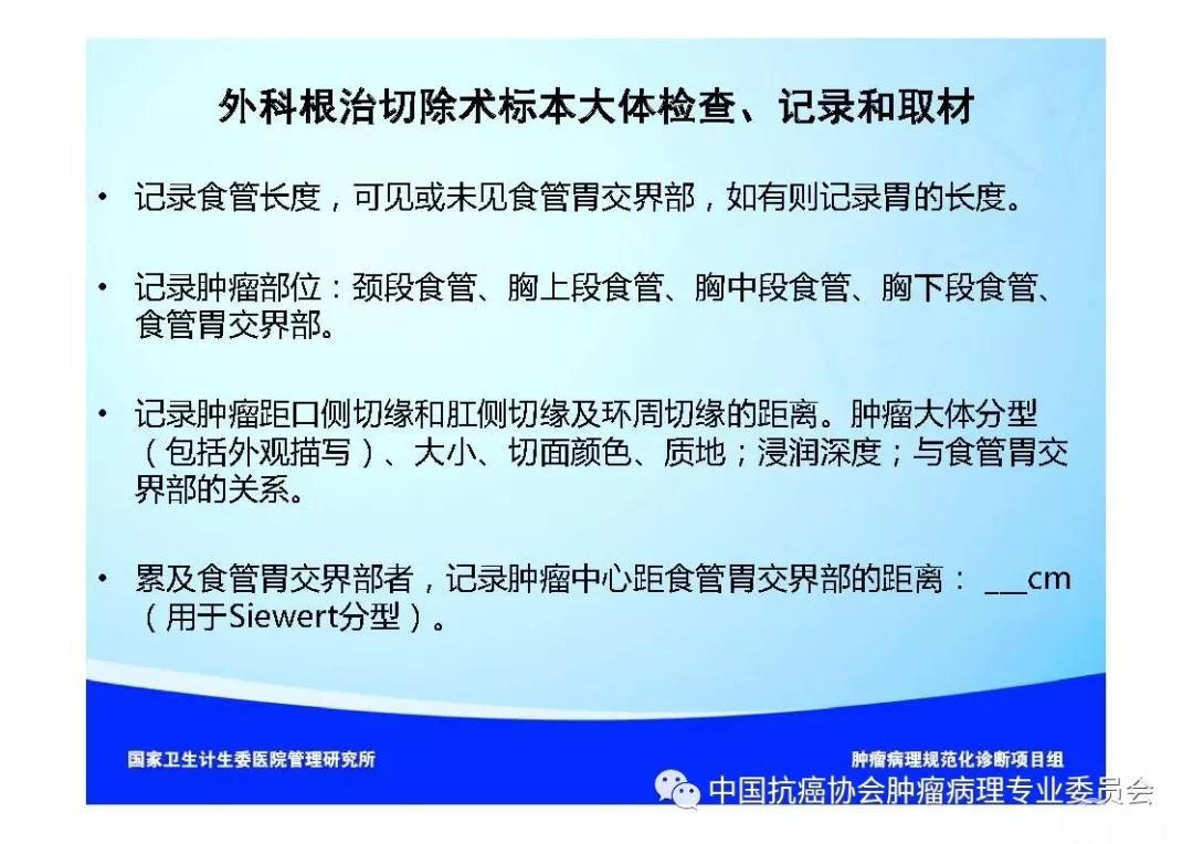 肿瘤病理规范化诊断标准 第7部分:食管癌病理诊断标准