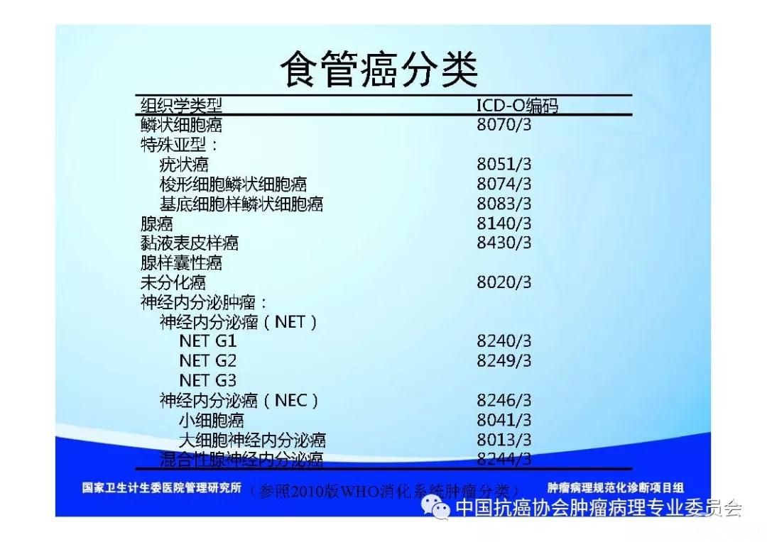 肿瘤病理规范化诊断标准 第7部分:食管癌病理诊断标准