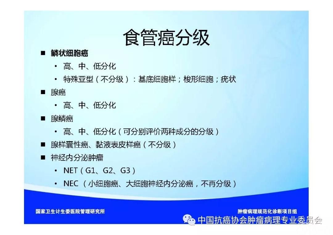肿瘤病理规范化诊断标准 第7部分:食管癌病理诊断标准