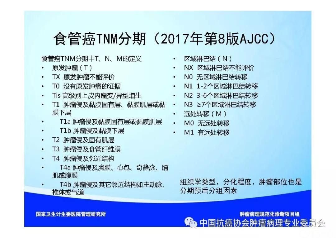肿瘤病理规范化诊断标准 第7部分:食管癌病理诊断标准