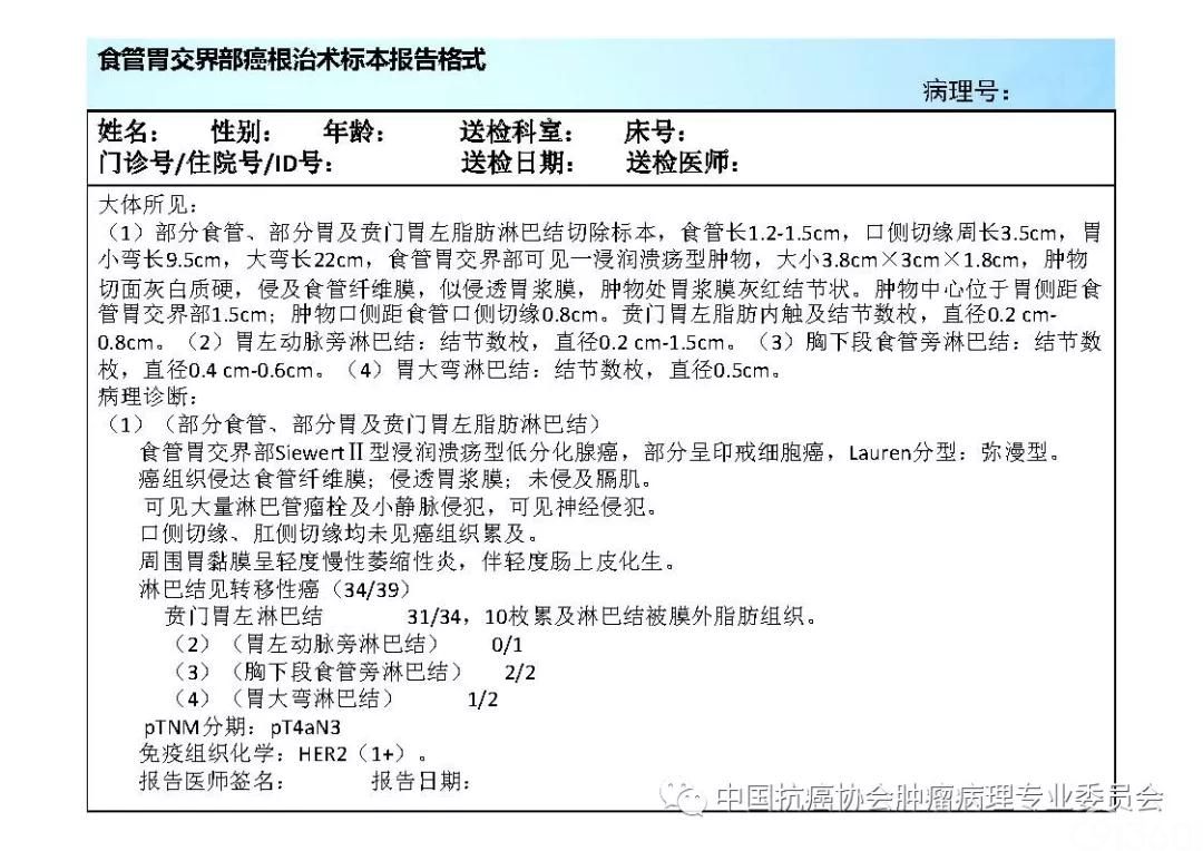 肿瘤病理规范化诊断标准 第7部分:食管癌病理诊断标准