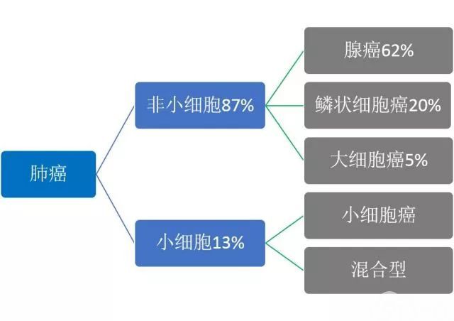 肺癌病理报告解读(二)