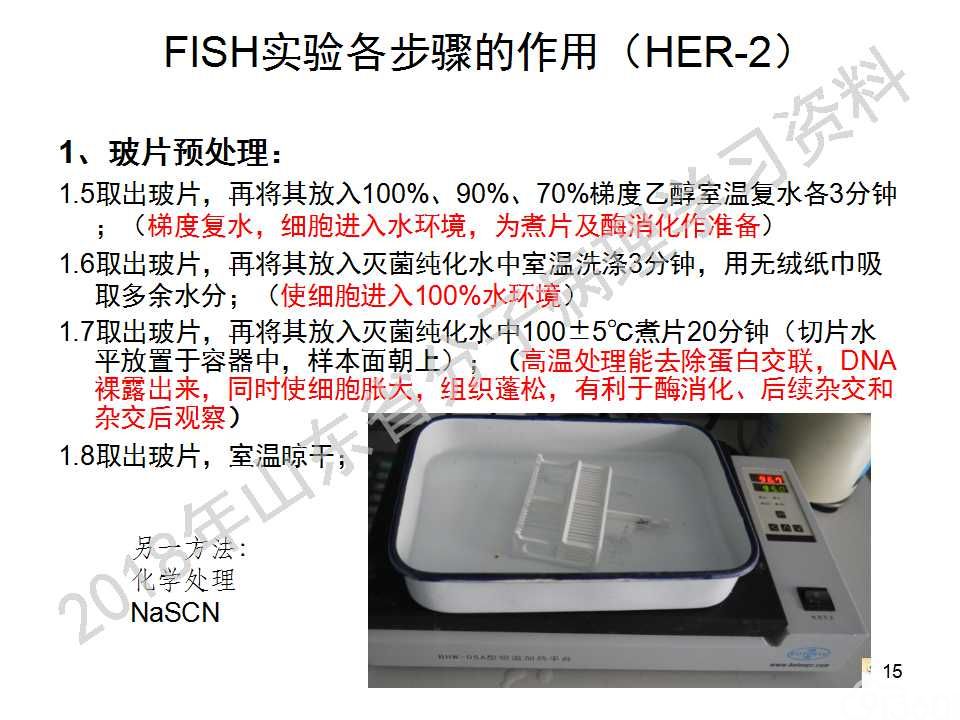 FISH原理及操作判读