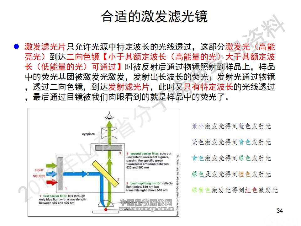 FISH原理及操作判读