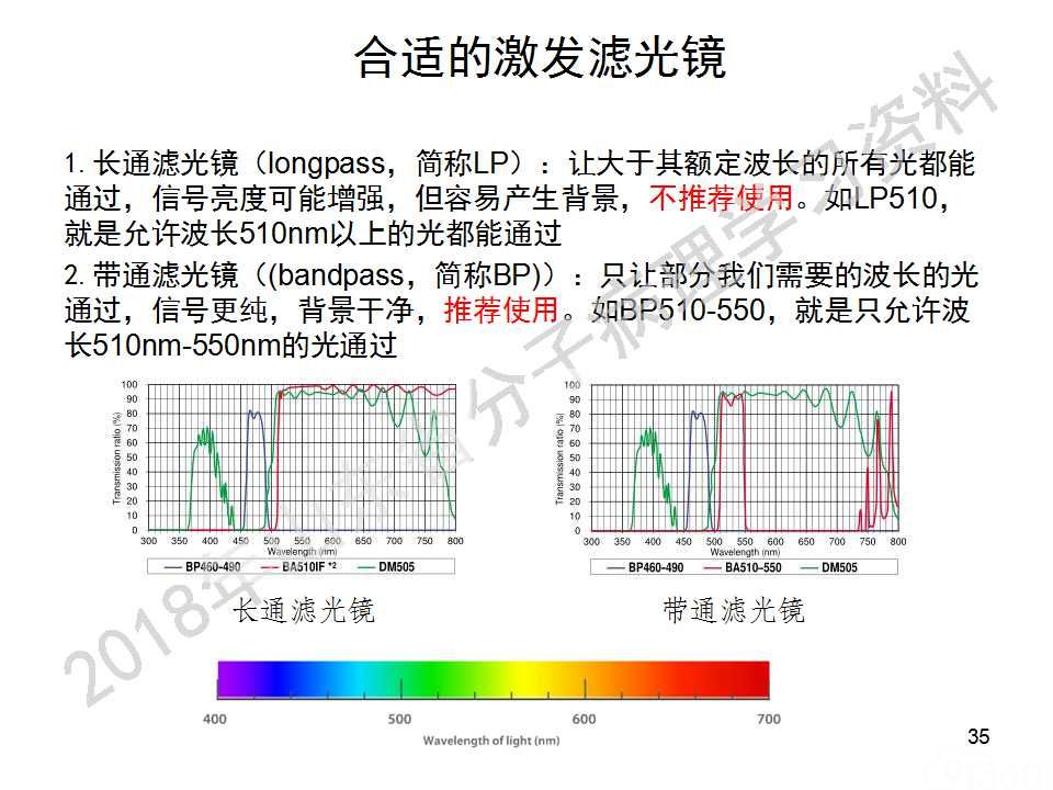 FISH原理及操作判读