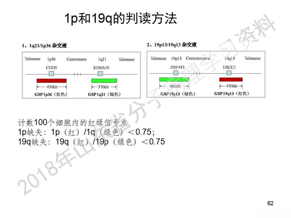 FISH原理及操作判读