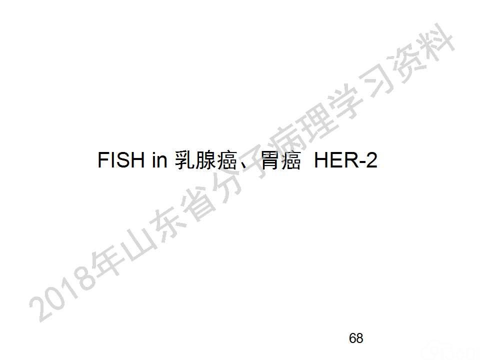 FISH原理及操作判读