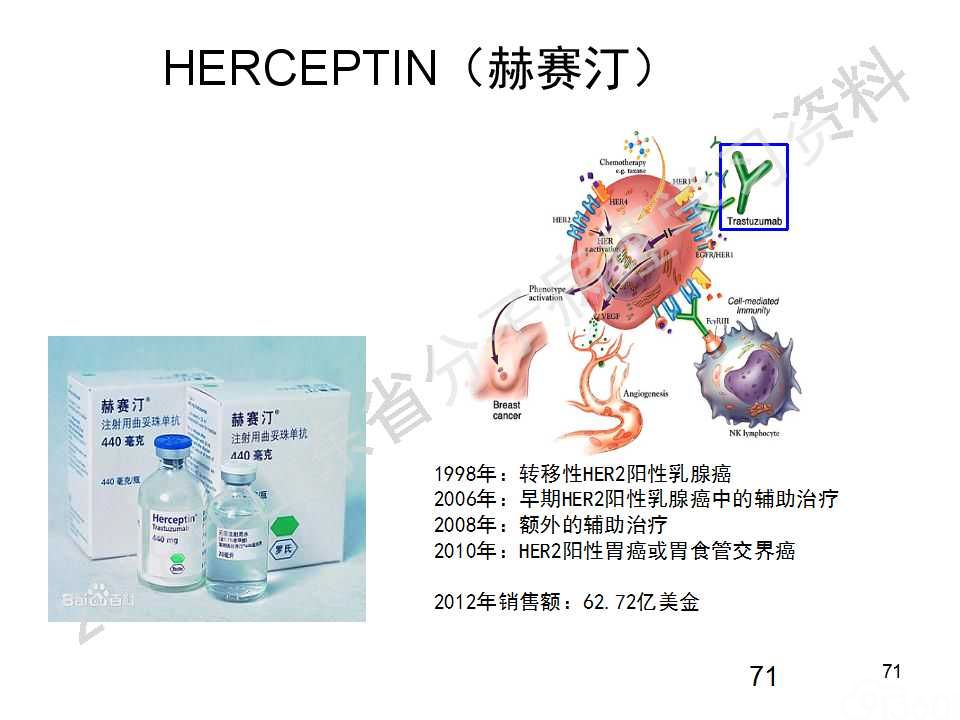 FISH原理及操作判读