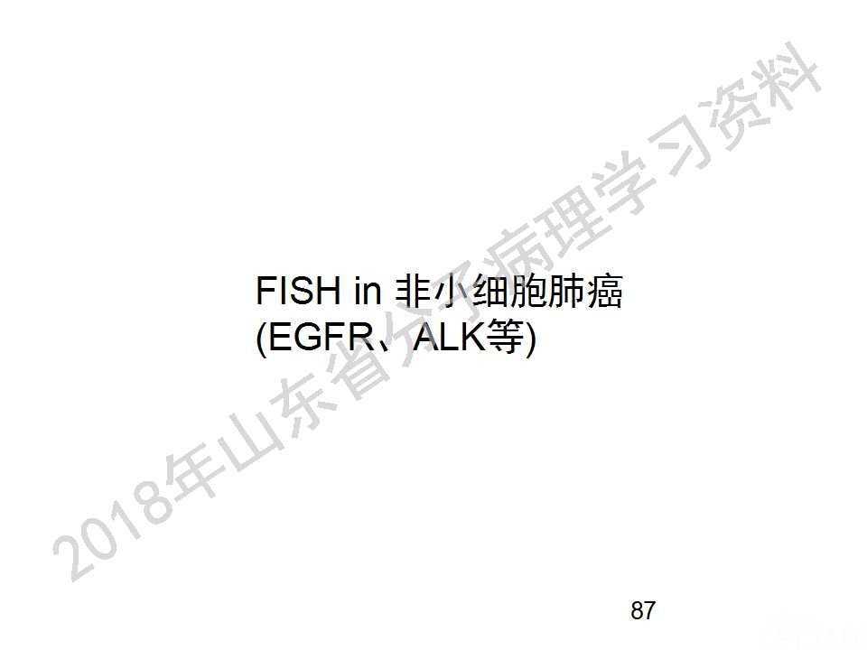 FISH原理及操作判读