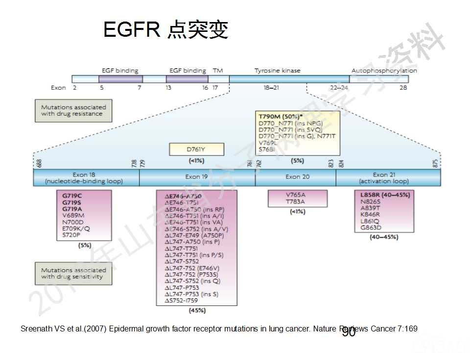 FISH原理及操作判读