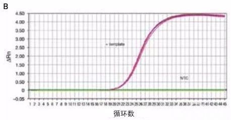 荧光定量pcr 疑难解析大本营 一 病理技术 官网
