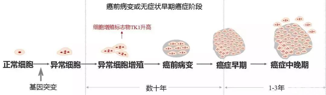 智慧病理 91360智慧病理网
