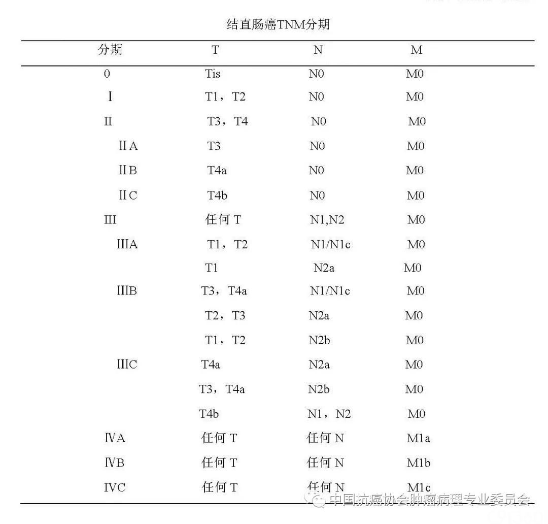 肿瘤病理诊断规范 第9部分:结直肠癌病理诊断规范